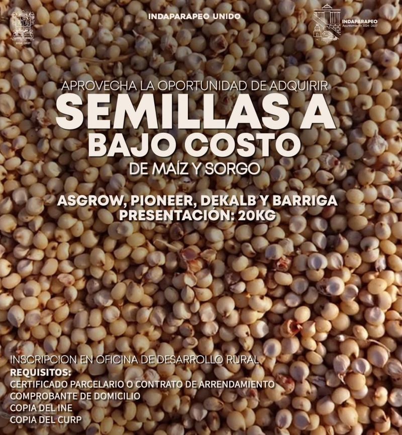 SEMILLA A BAJO COSTO
